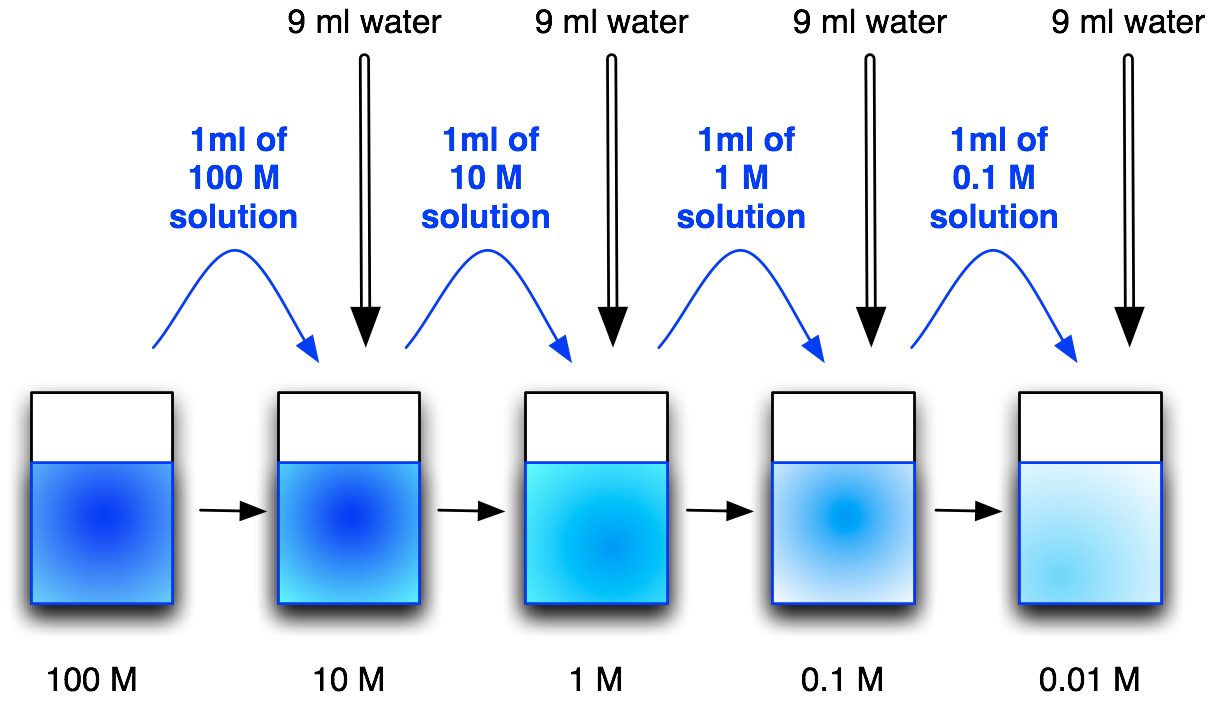 serial dilutions in microbiology